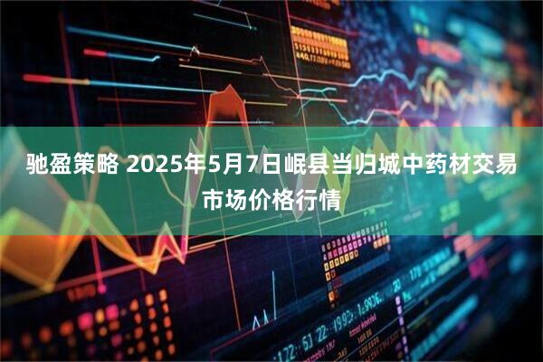 驰盈策略 2025年5月7日岷县当归城中药材交易市场价格行情