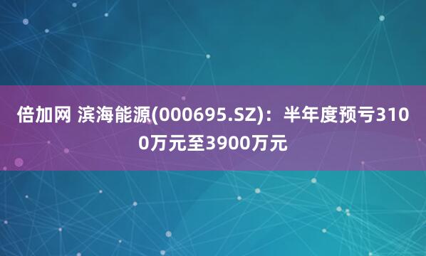 倍加网 滨海能源(000695.SZ)：半年度预亏3100万元至3900万元