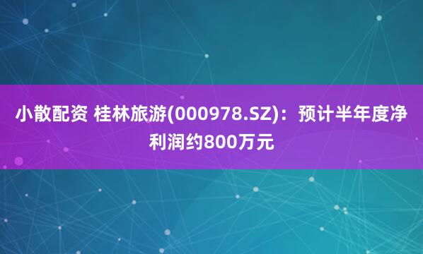 小散配资 桂林旅游(000978.SZ)：预计半年度净利润约800万元