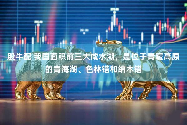 股牛配 我国面积前三大咸水湖，是位于青藏高原的青海湖、色林错和纳木错