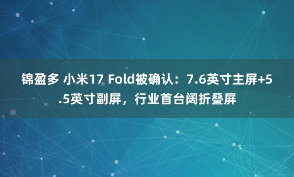锦盈多 小米17 Fold被确认：7.6英寸主屏+5.5英寸副屏，行业首台阔折叠屏