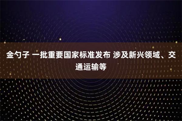 金勺子 一批重要国家标准发布 涉及新兴领域、交通运输等