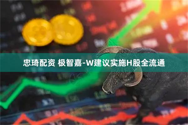 忠琦配资 极智嘉-W建议实施H股全流通