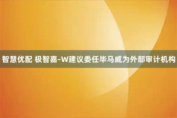 智慧优配 极智嘉-W建议委任毕马威为外部审计机构